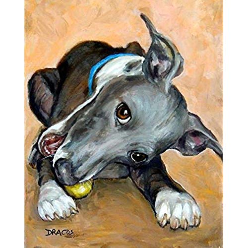 500x500 Greyhound Paintings - Greyhound Painting