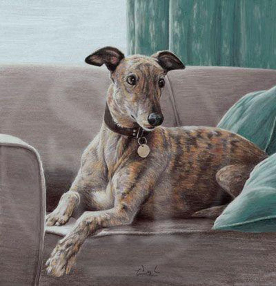 966x1000 An Englishmans Home - Greyhound Painting