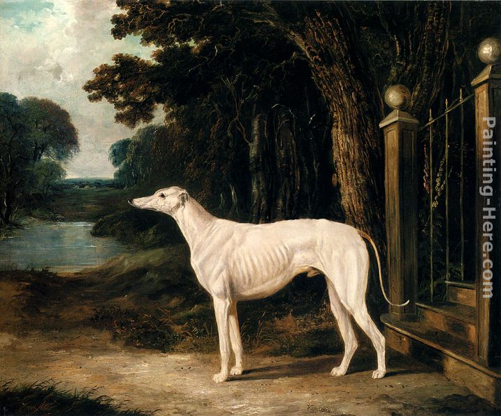 720x597 John Frederick Herring Snr Vandeau, A White Greyhound Painting - Greyhound Painting