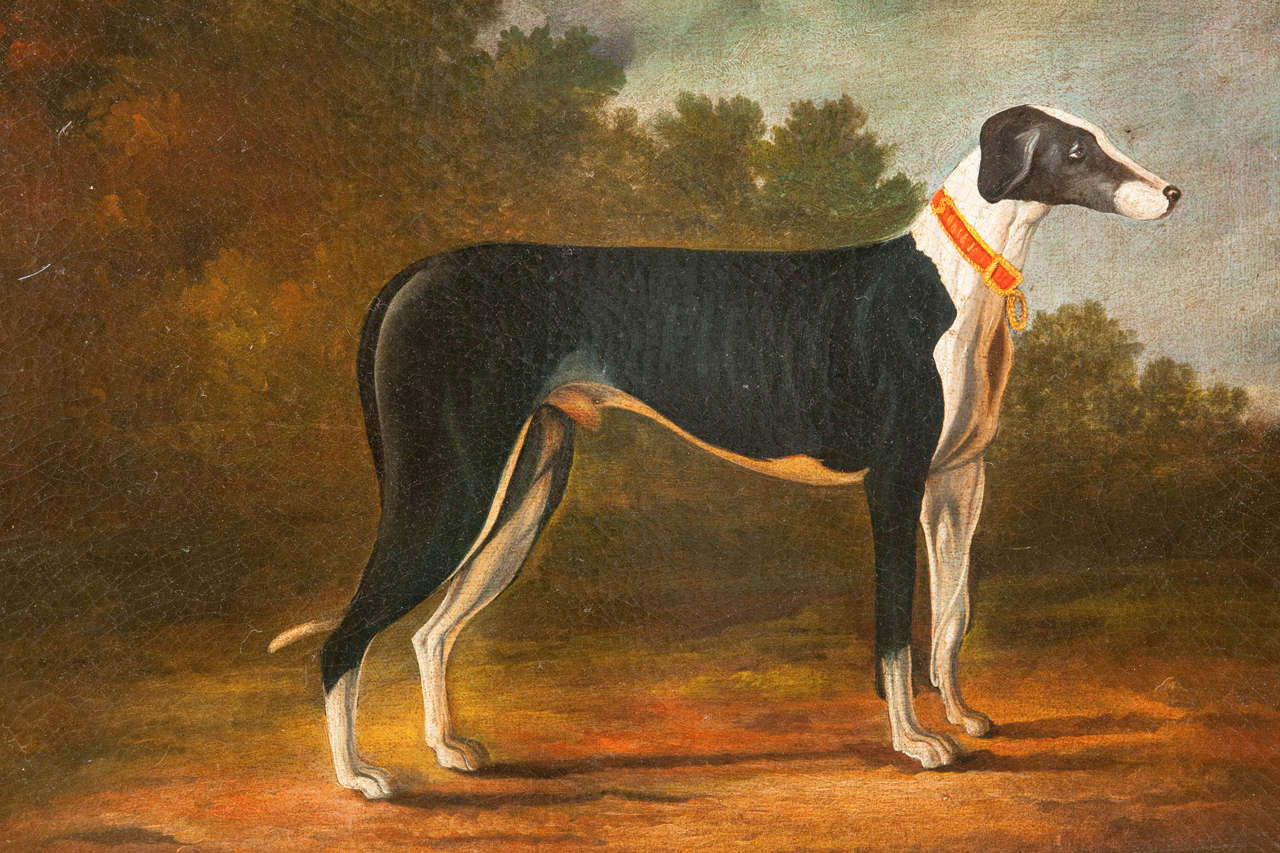 1280x853 Pair Of Late 18th Century English Greyhound - Greyhound Painting