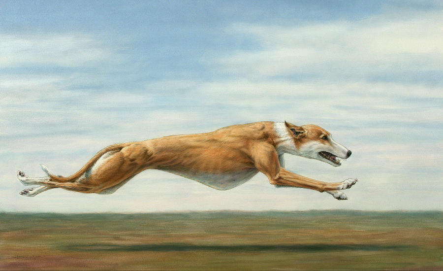 900x550 Running Free Painting By James W Johnson - Greyhound Painting