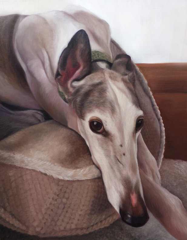 617x792 Custom Pet Portraits Custom Pet Painting Greyhound Pet - Greyhound Painting