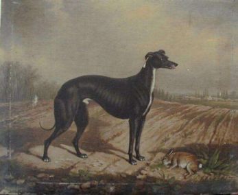 347x284 Contempory Paintings - Greyhound Painting