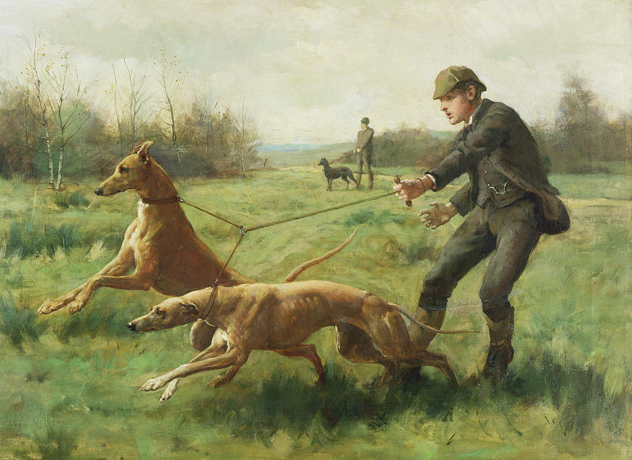 900x655 Exercising Greyhounds Painting By George Goodwin Kilburne - Greyhound Painting