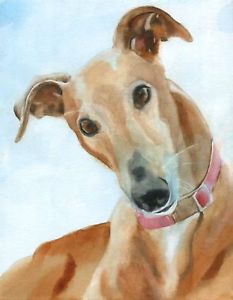 233x300 Giclee Print Greyhound Dog Watercolor Painting Art Grey Pet - Greyhound Painting