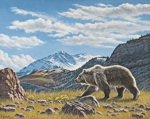 300x239 Grizzly Bear Paintings Fine Art America - Grizzly Bear Painting