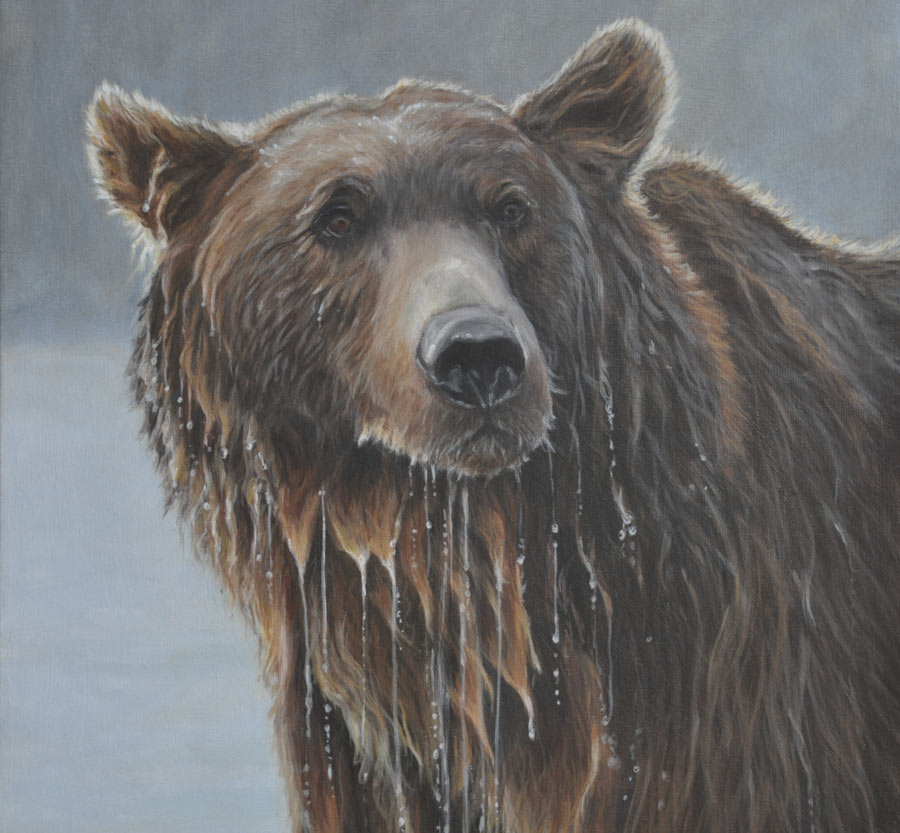 900x833 Grizzly Bear Portrait My Painted Life - Grizzly Bear Painting Canvas