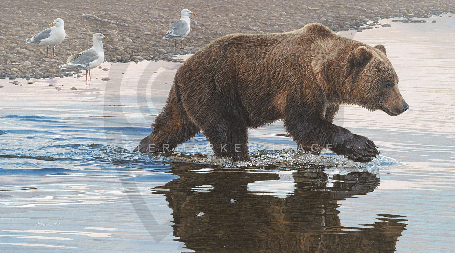 1490x830 Grizzly Bear Giclee Canvas Edition Kodiak Collaboration, By Daniel - Grizzly Bear Painting Canvas
