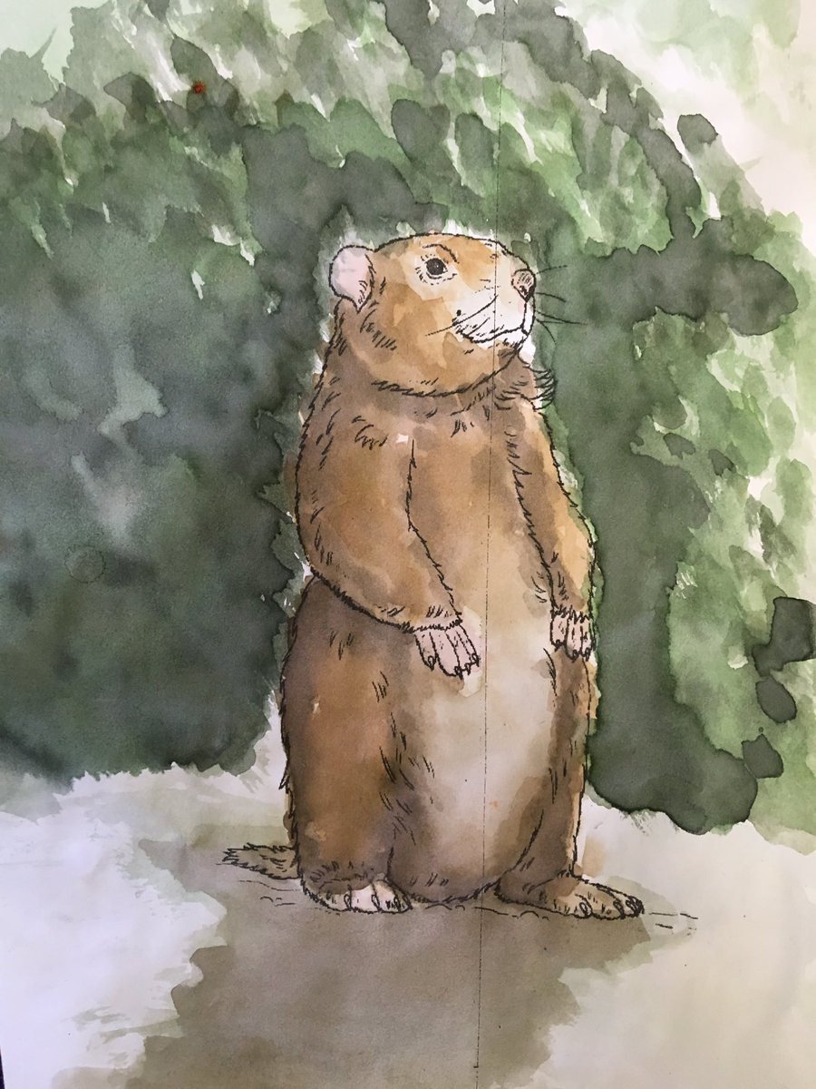 900x1200 Dupont Manual Va On Twitter Happy Groundhog Day From The Va - Groundhog Day Painting