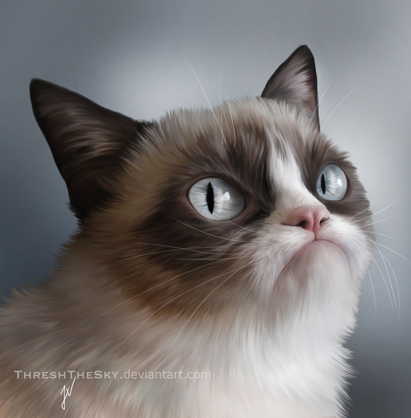 800x812 Grumpy Cat By Threshthesky - Grumpy Cat Painting