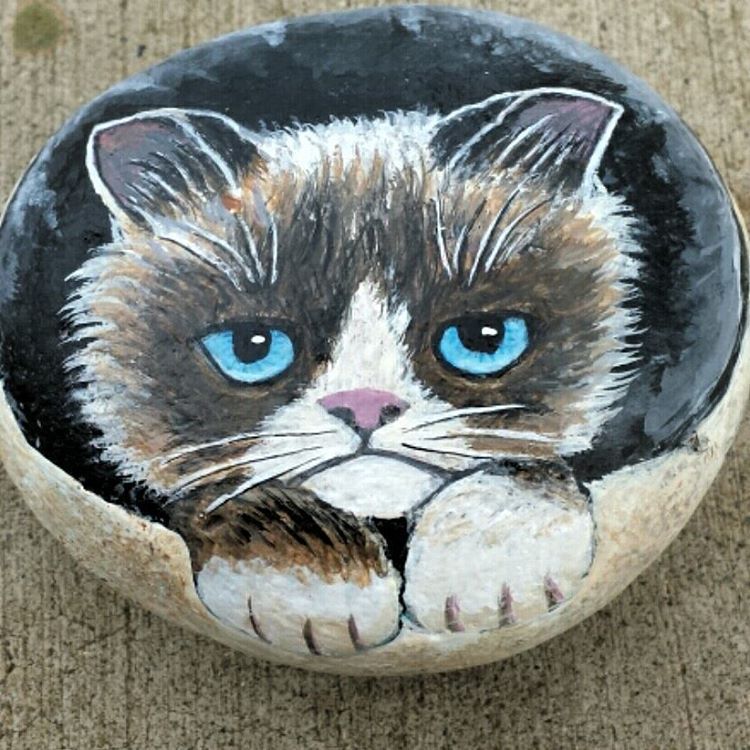 750x750 Grumpy Cat Rock Painting - Grumpy Cat Painting
