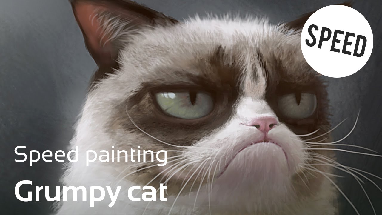 1280x720 Speed Painting - Grumpy Cat Painting