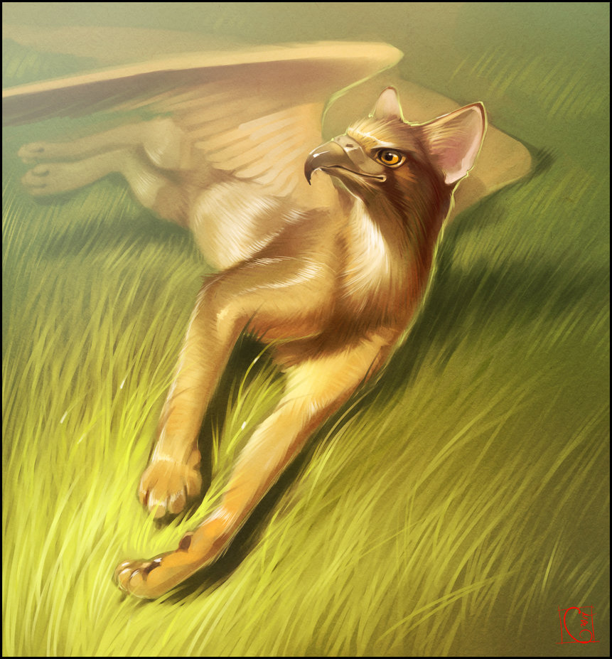 861x927 Illustration Art 500 Digital Art Digital Painting Gryphon Digital - Gryphon Painting