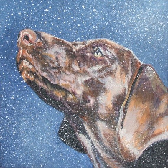 570x570 German Shorthaired Pointer Gsp Art Canvas Print Of By La Shepard - Gsp Painting