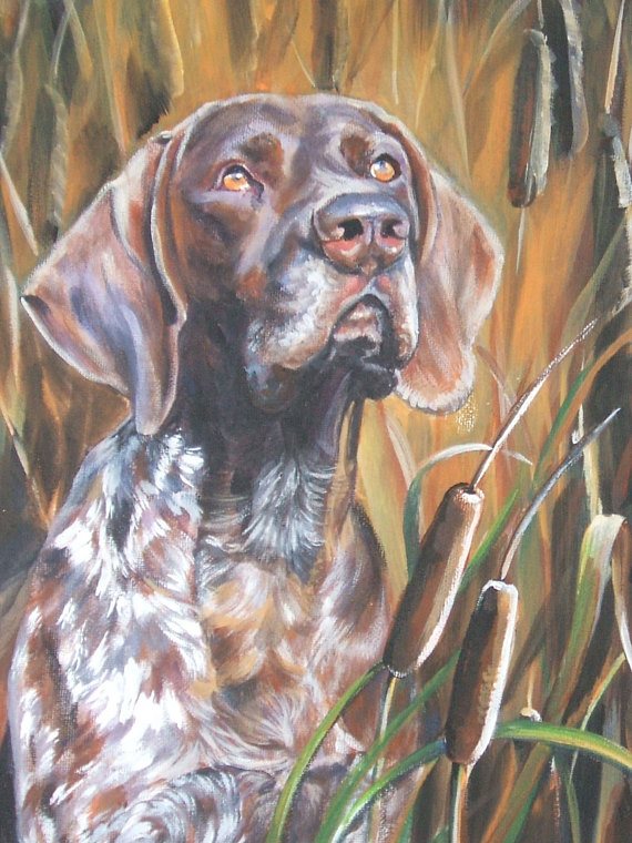 570x760 German Shorthaired Pointer Gsp Art Print Canvas Print Of La - Gsp Painting