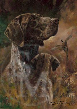 268x380 Gsp Paintings In Sporting Original Paintings - Gsp Painting