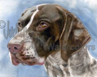 340x270 Gsp Painting Etsy - Gsp Painting