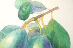 236x157 Guava Slice - Guava Painting