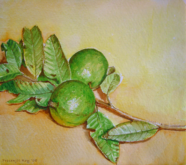 600x532 Guavas Anyone - Guava Painting