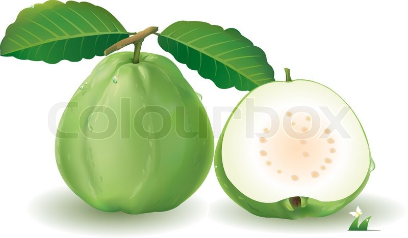 800x468 Guavas With Leaves And Guava Were Cut Into Pieces Stock Vector - Guava Painting