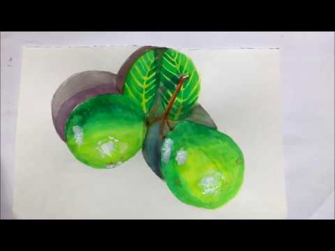 480x360 Realistic Guava Painting In Watercolours - Guava Painting