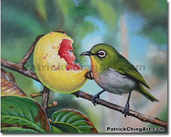 599x481 Guava Majiro - Guava Painting