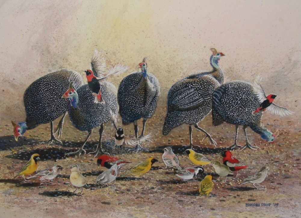 1000x724 Feeding The Birds Barbara Philip - Guinea Fowl Painting