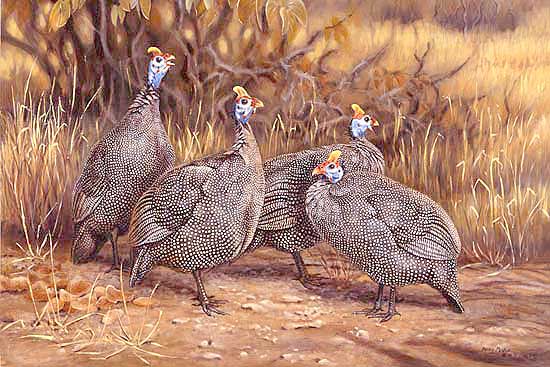 550x367 Paintingguineafowl In Mopane - Guinea Fowl Painting