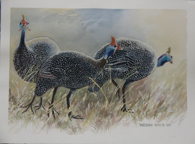 640x473 Three Guinea Fowl. Barbara Philip - Guinea Fowl Painting