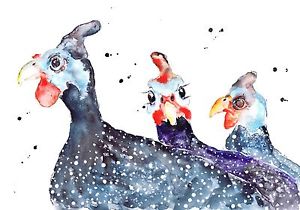 300x210 Guinea Fowl Painting Print A6 Sized From An Original Watercolour - Guinea Fowl Painting