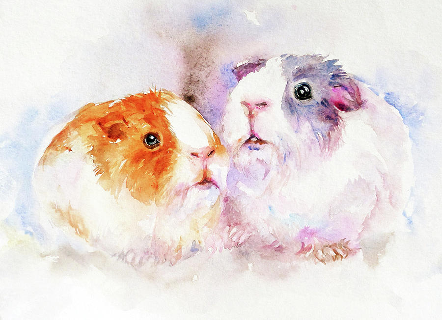 900x652 Fuzzy Buddies Painting By Arti Chauhan - Guinea Pig Painting