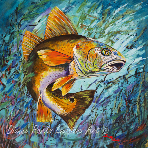 570x570 Redfish Marine Art And Painting Gulf Coast Redfish - Gulf Coast Painting