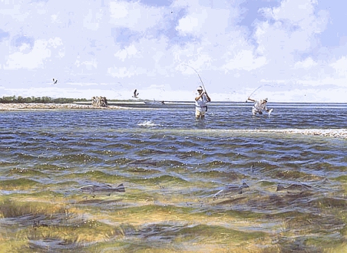 500x365 Usage Statistics - Gulf Coast Painting