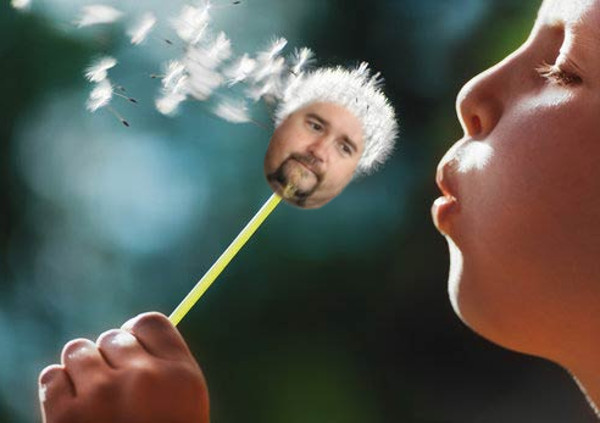 600x423 Guy Fieri Sneakhype - Guy Fieri Painting
