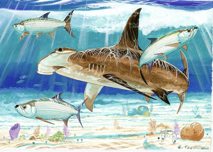 736x523 The 24 Best Marine Wildlife Artist Guy Harvey Images - Guy Harvey Painting