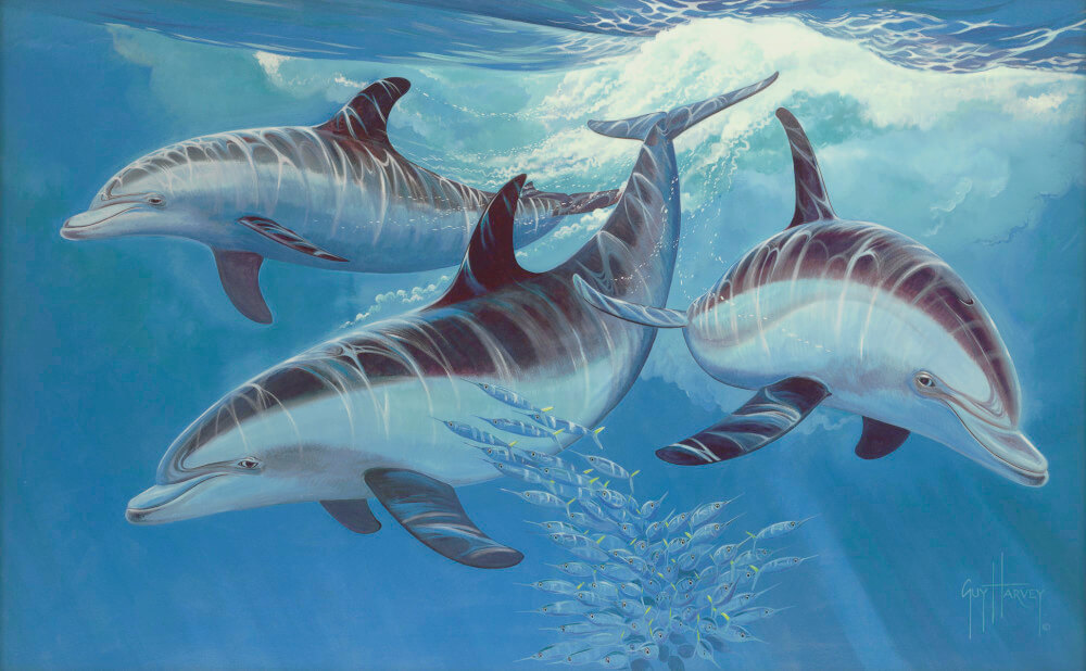 1000x618 The Science Of Guy Harvey Art - Guy Harvey Painting