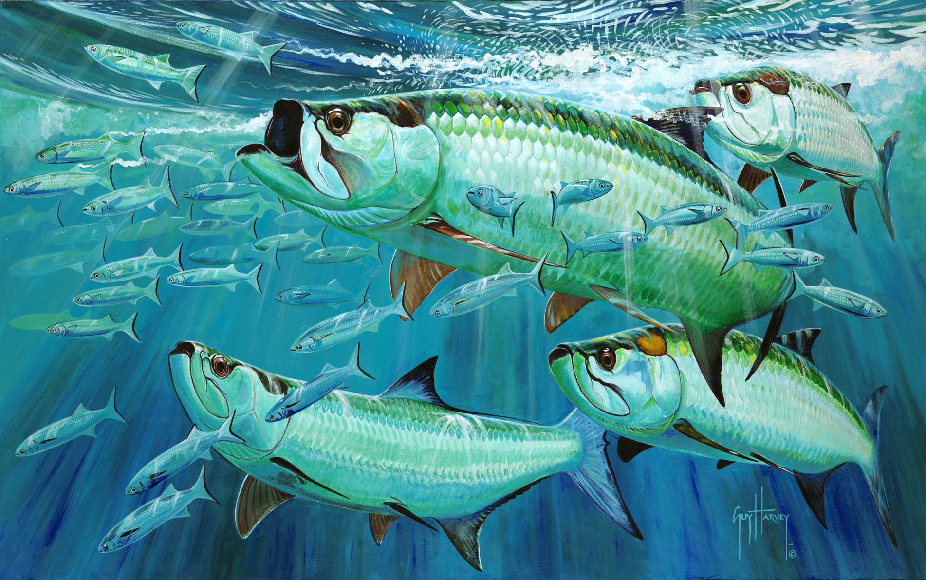 Guy Harvey Painting at PaintingValley.com | Explore collection of Guy