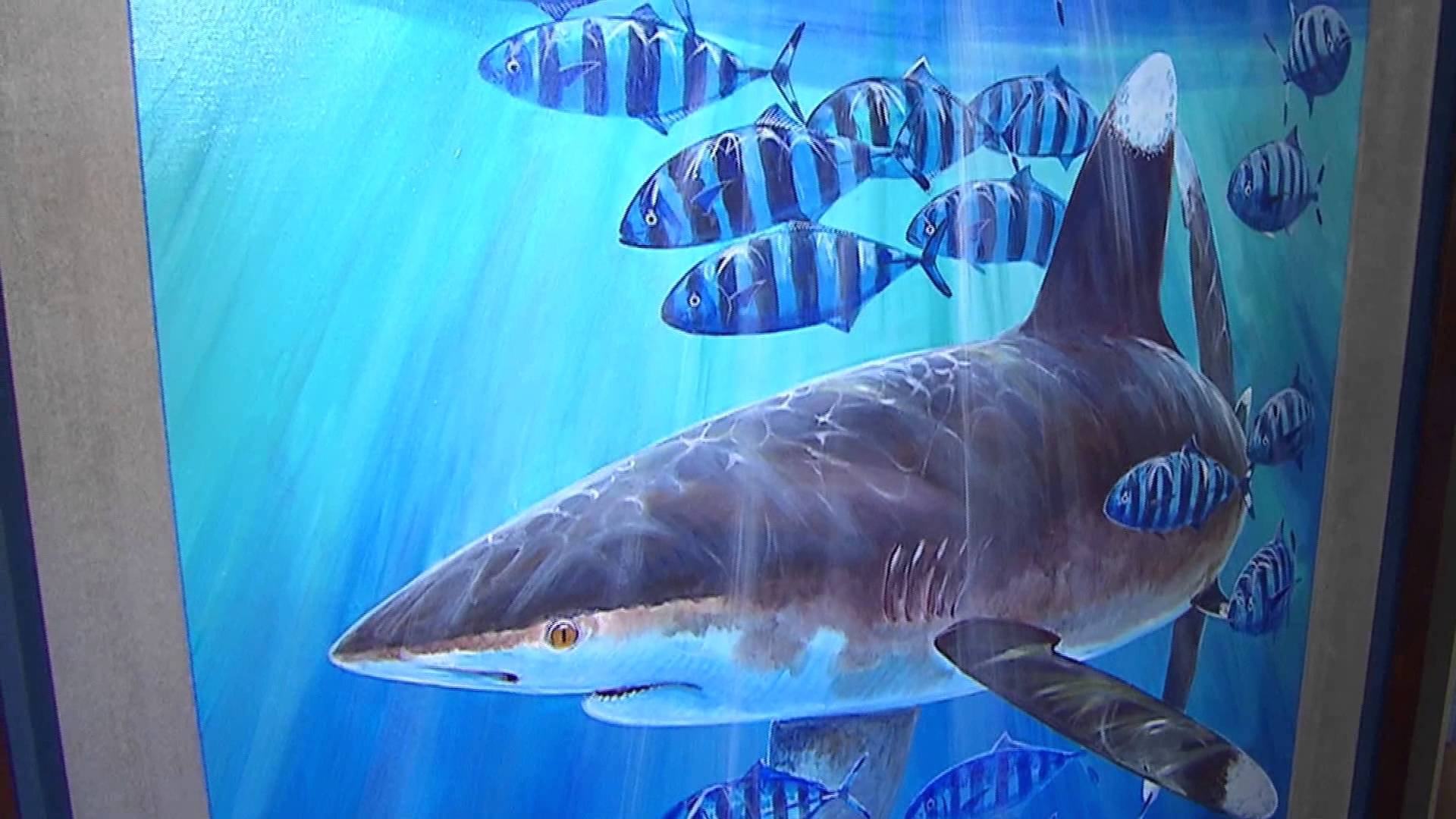 1920x1080 Dr. Guy Harvey - Guy Harvey Painting