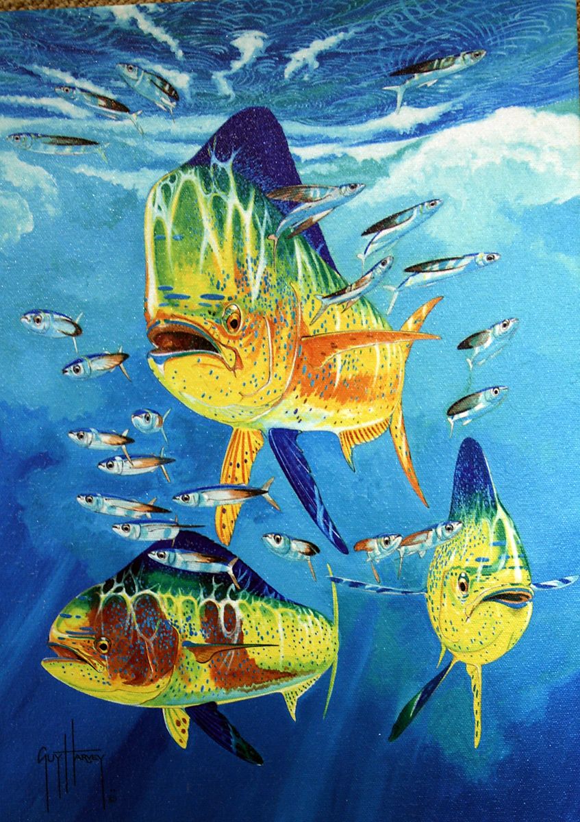 847x1200 Guy Harvey Art Photo Of Painting From Guy Harvey Art Gallery - Guy Harvey Painting