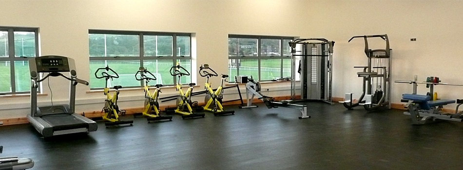 950x350 Sports Hall Painting Kerry, Cork, Limerick, Clare And All Ireland - Gym Painting