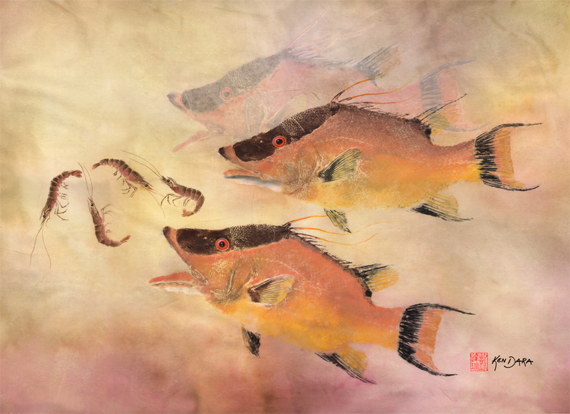 800x581 Gyotaku Roosterfish Fish Print By Ken Dara Stuart Florida Japanese - Gyotaku Fish Painting