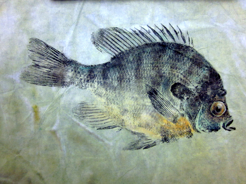 1024x768 Meta Name=google Site Verification Content - Gyotaku Fish Painting