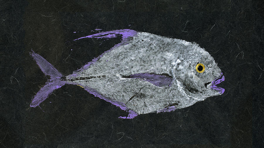 900x506 Gyotaku African Pompano Painting By Captain Warren Sellers - Gyotaku Painting