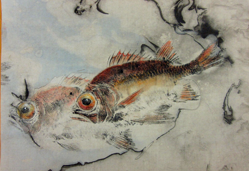 800x550 Gyotaku The Traditional Japanese Art Of Fish Printing Goin - Gyotaku Painting