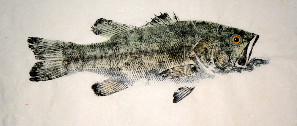 1000x425 Gyotaku By Brett Swindell - Gyotaku Painting