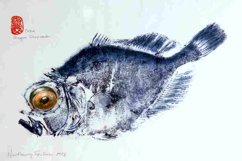 800x533 How Fishermen's Bragging Rights Gave Birth To Fine Art The Salt - Gyotaku Painting