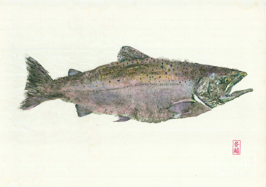 900x633 King Salmon Gyotaku Painting By Julia Tinker - Gyotaku Painting