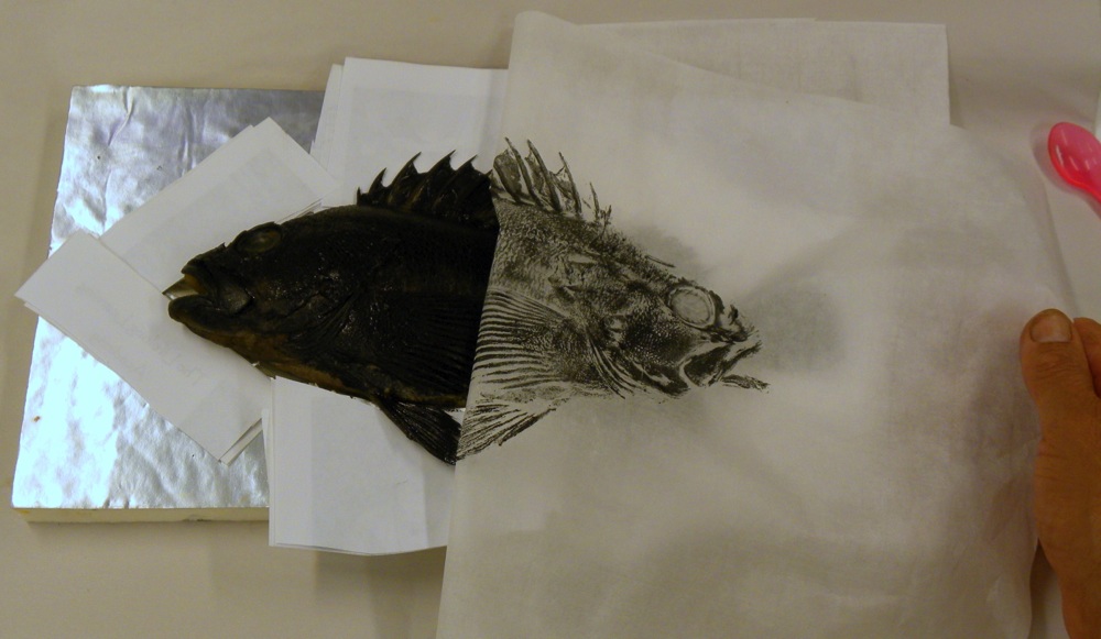 1000x581 Meta Name=google Site Verification Content - Gyotaku Painting