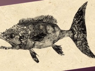 320x240 Art - Gyotaku Painting