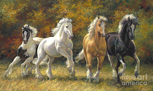 300x180 Gypsy Horse Paintings Fine Art America - Gypsy Horse Painting